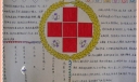 红十字会版面设计手抄报