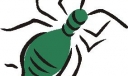 板报网一周年庆特别奉献之昆虫类小插图