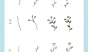 24种花草植物的画法，点亮你的手抄报