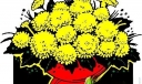 黄色花朵002