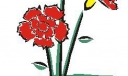 黑板报花朵类精美插图25