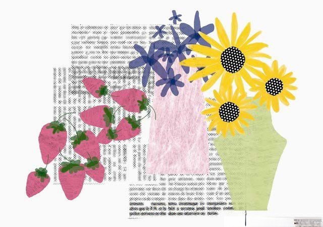 板报插图：向日葵与荔枝