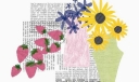 板报插图：向日葵与荔枝