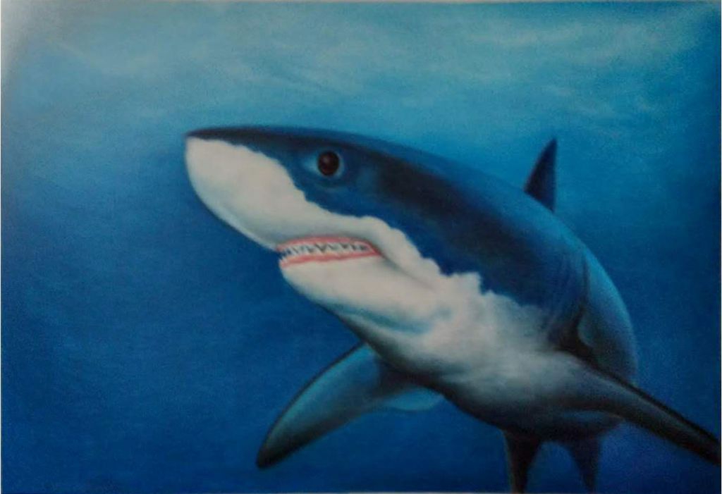 大白鲨粉笔画