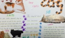 关于猫的手抄报（I Love Cat paper-handwriting）