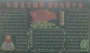 弘扬宪法精神建设法制中国黑板报