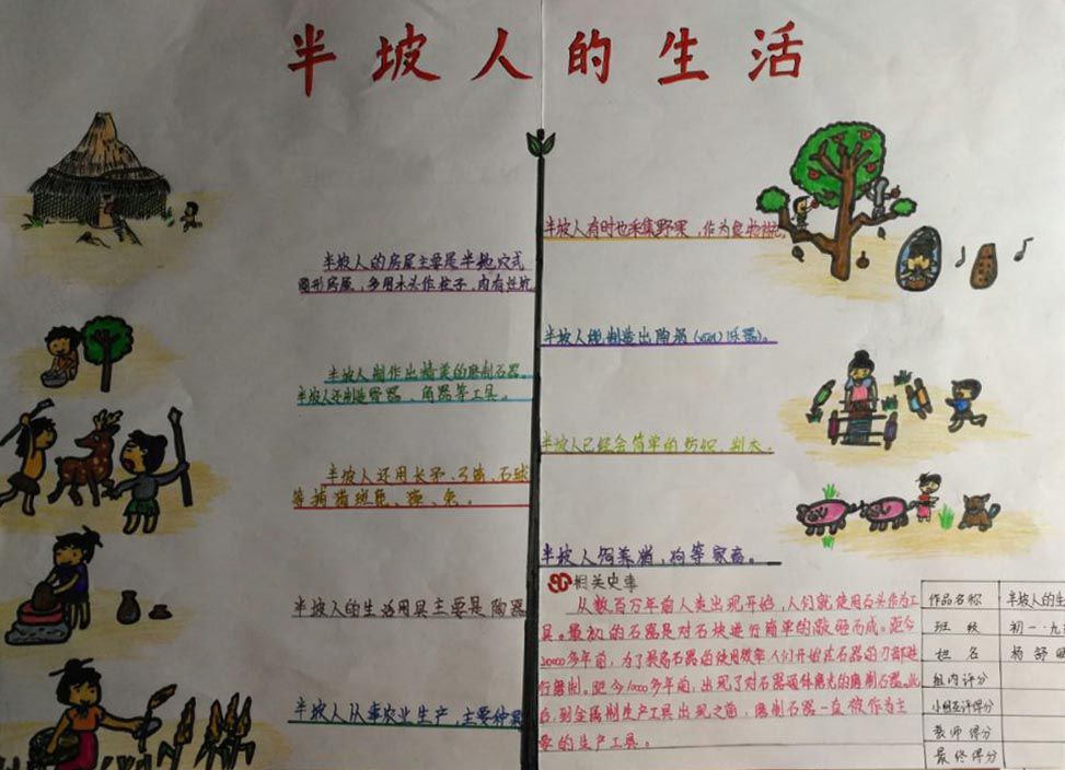 半坡人的生活手抄报，初一中国古代史