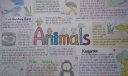 有关动物的英语手抄报-animals