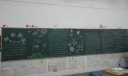 预防疟疾黑板报图片展