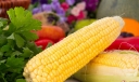 玉米吃了真的不会胖吗 甜玉米和糯玉米哪个热量低