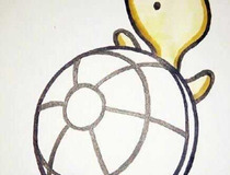 儿童画乌龟简单画法 可爱的小乌龟是怎么画的呢？5